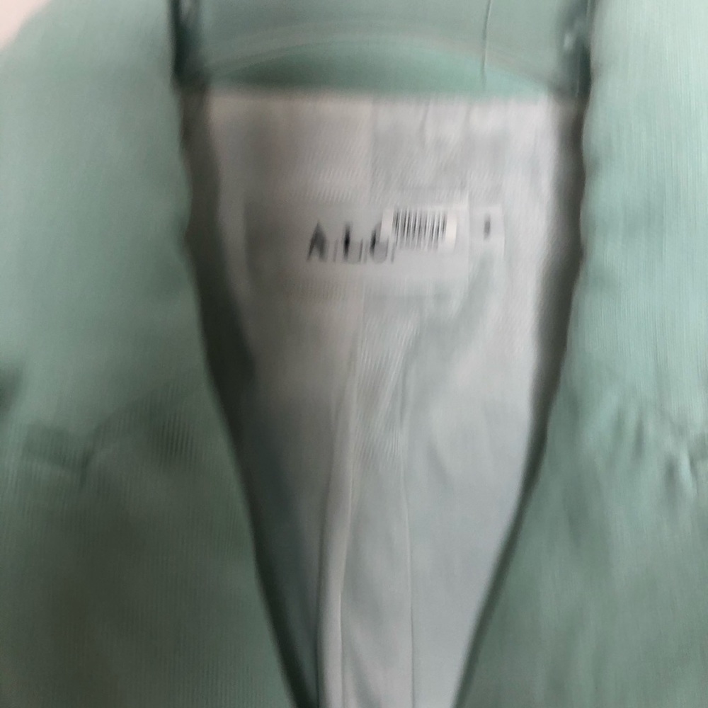ALC Sedgwick Button Mint Blazer Jacket - Picture 10 of 13